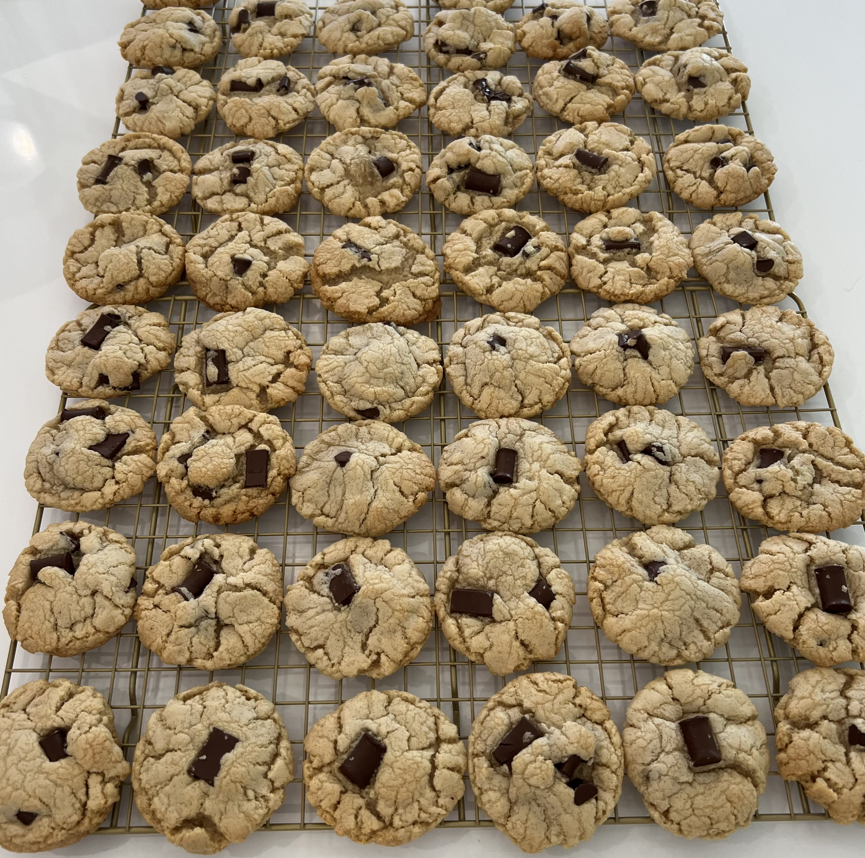 Chocolate Chunkies